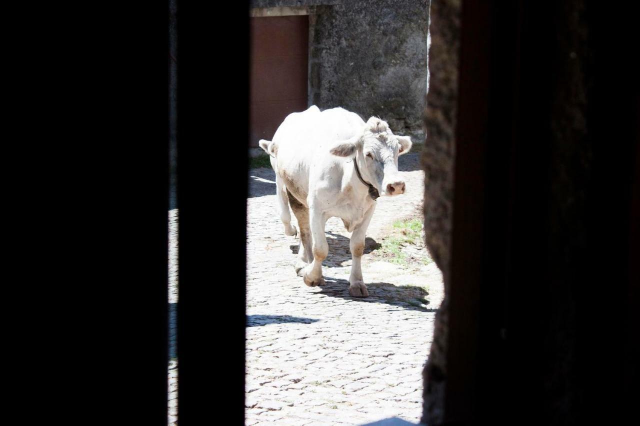 Casa Viade Ξενοδοχείο Montalegre Εξωτερικό φωτογραφία